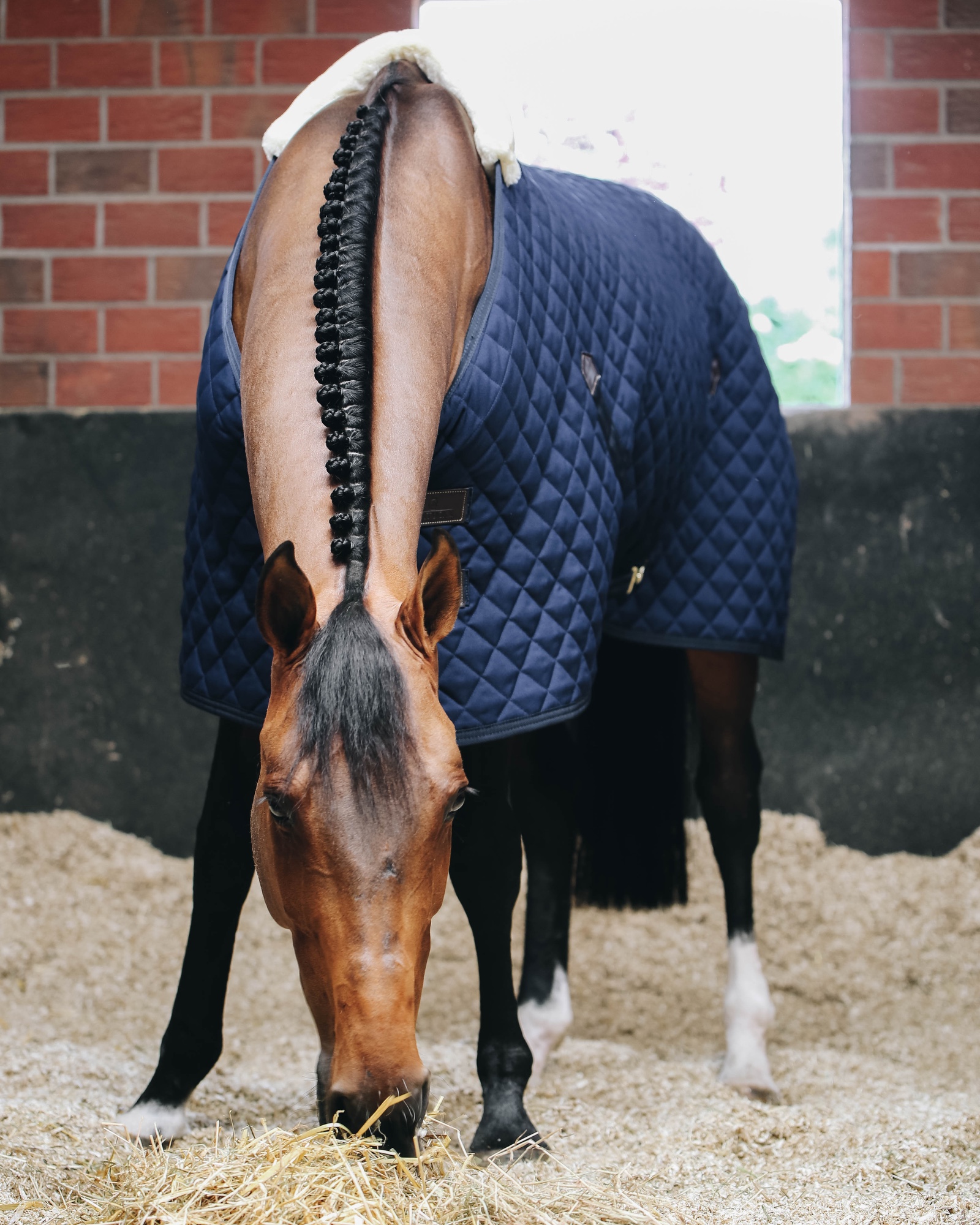 Stable rug 400g