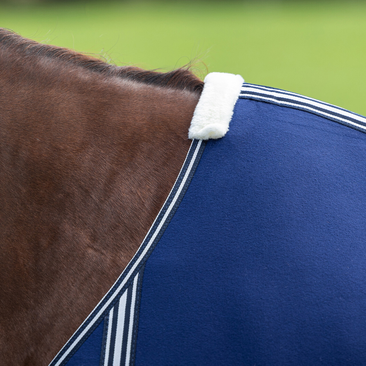 Basic sweat rug with cross surcingles