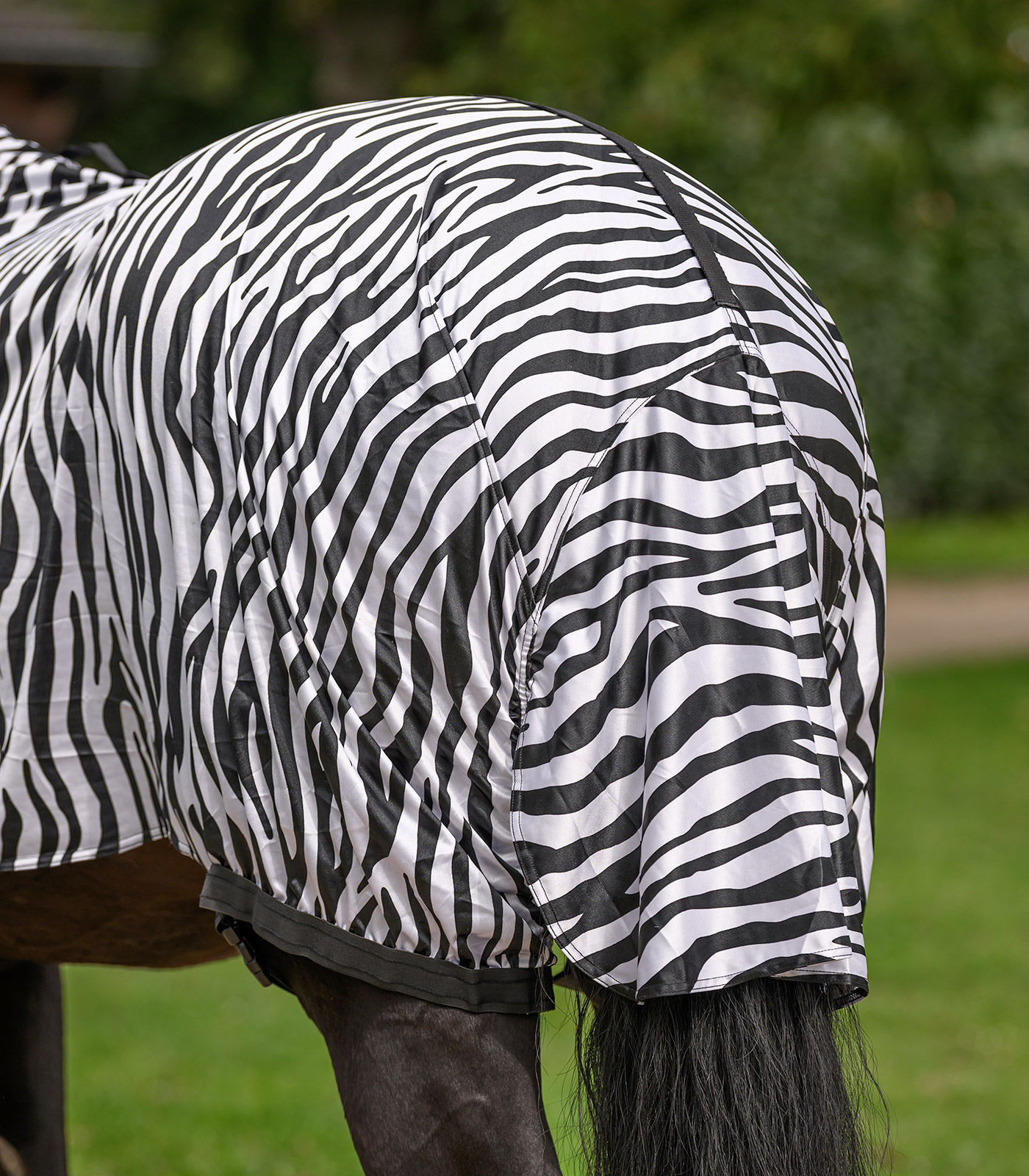 Ekzemdecke Zebra