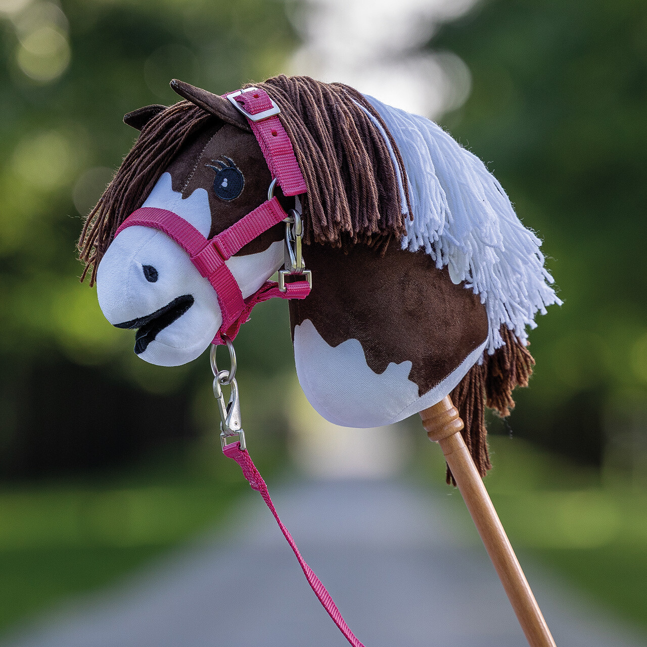 Hobby Horse halter set