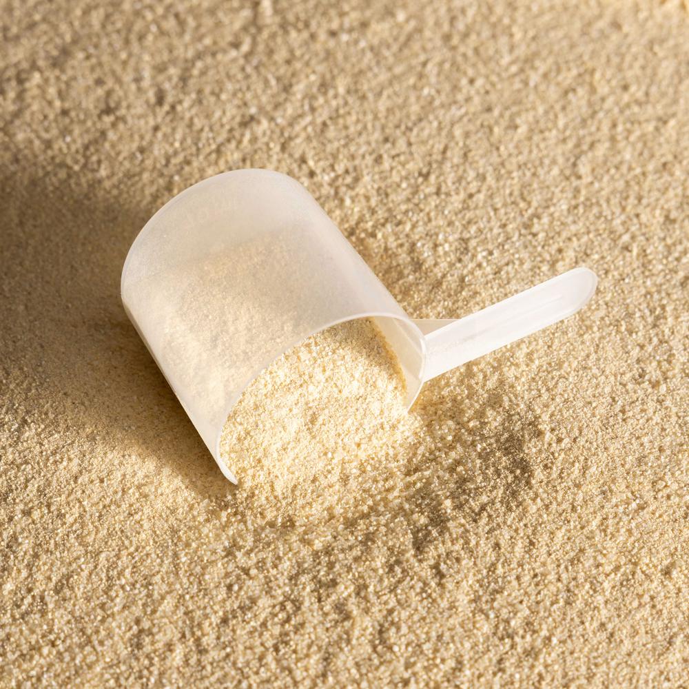 Electrolyte powder