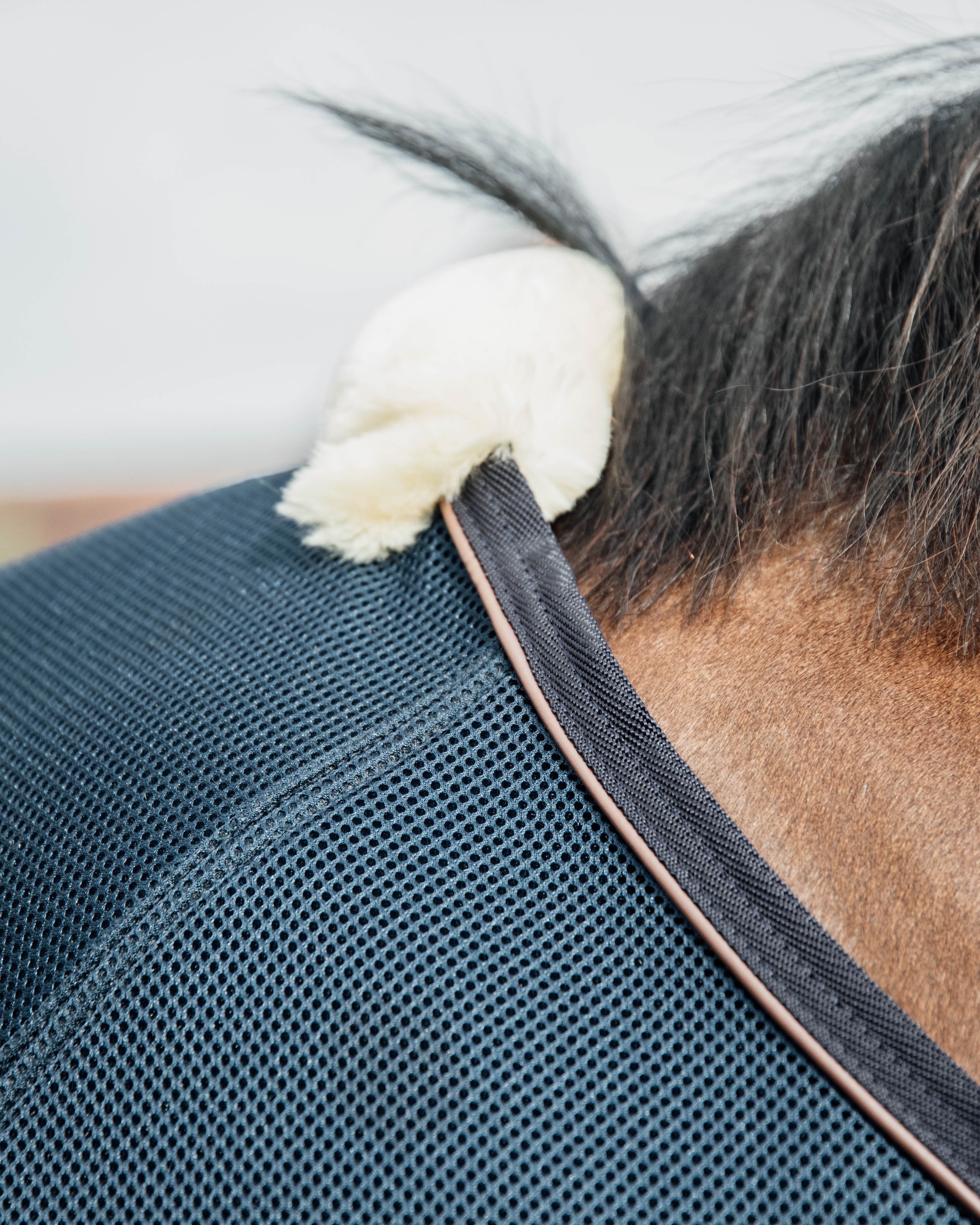 Fly rug fly combi