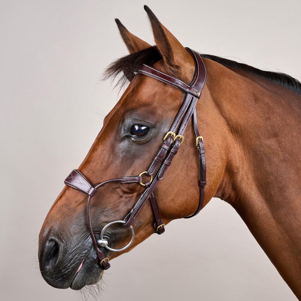 Hybrides Zaumzeug DY |