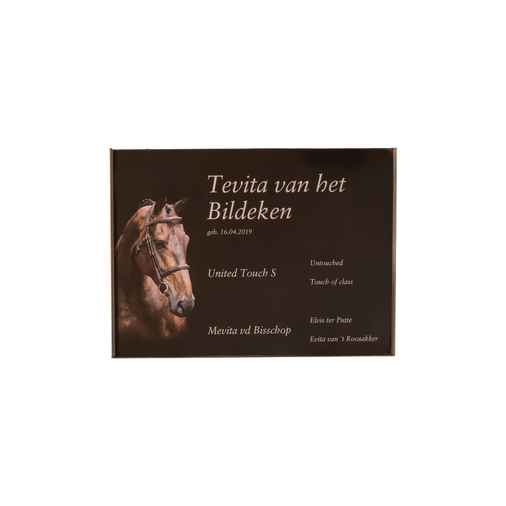 Stable name plate with Plexiglas