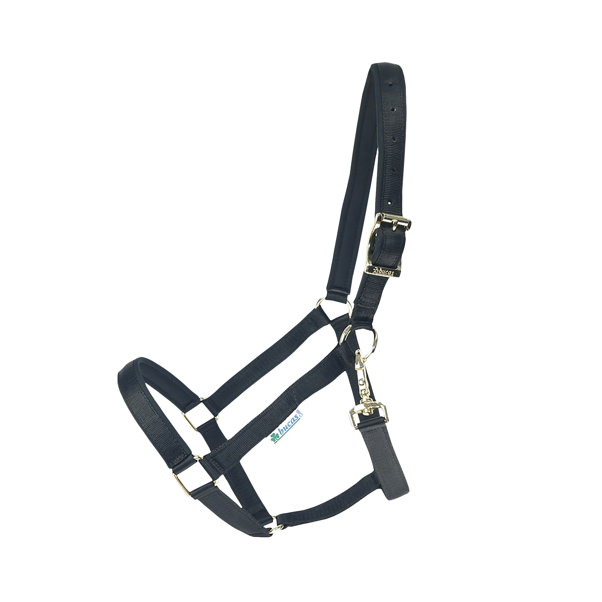 Halfter Dublin in Black/Gold