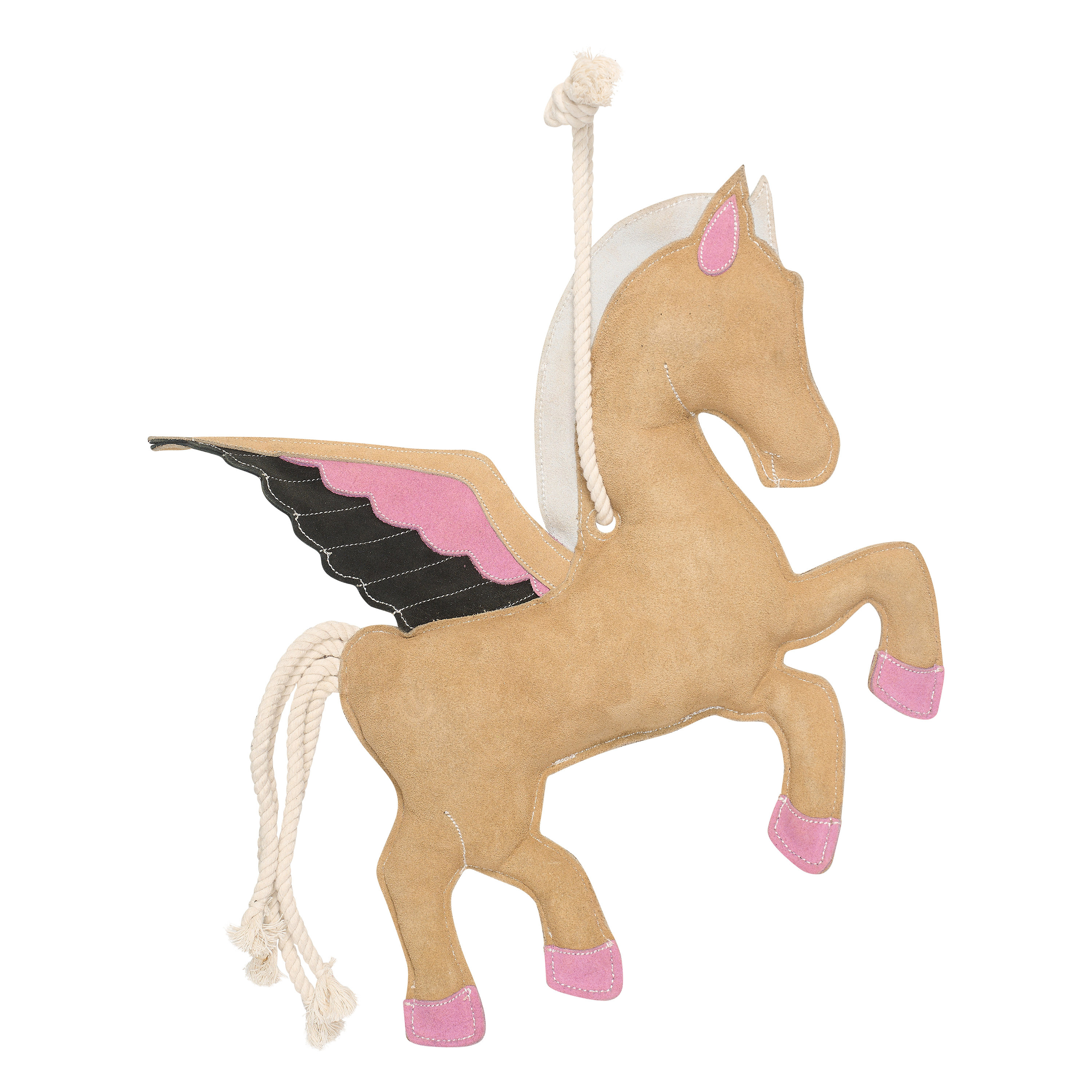 Stable buddy Pegasus