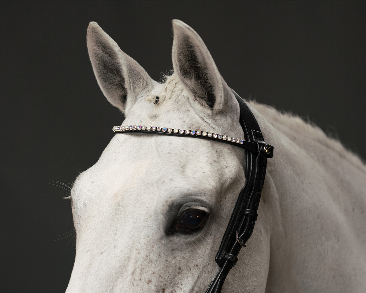 Browband ShineBright