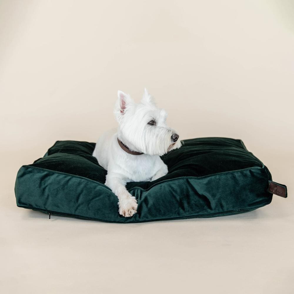 Hundekissen Velvet | Kentucky Dogwear