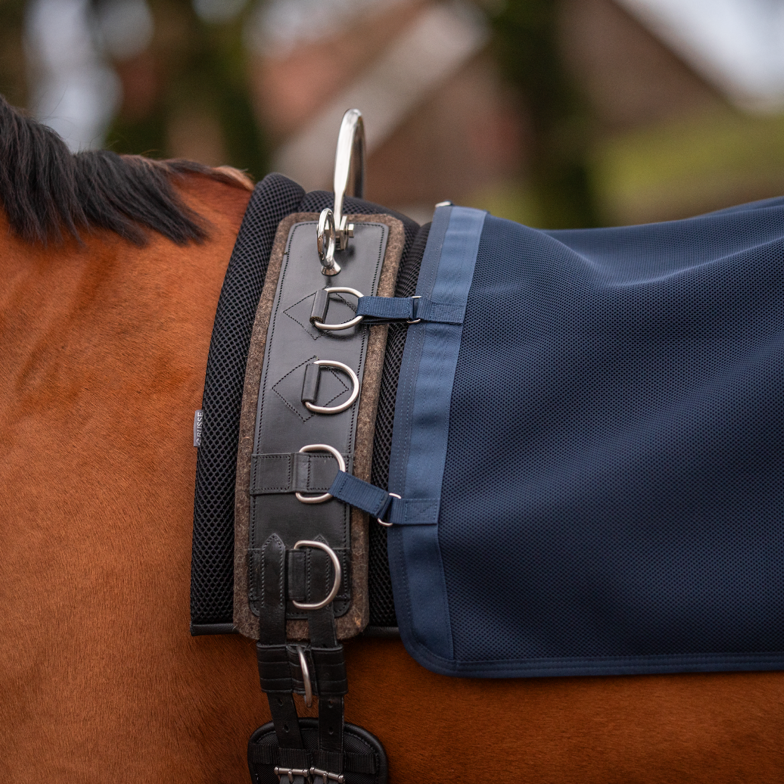 Lunging rug 3D AIR ST