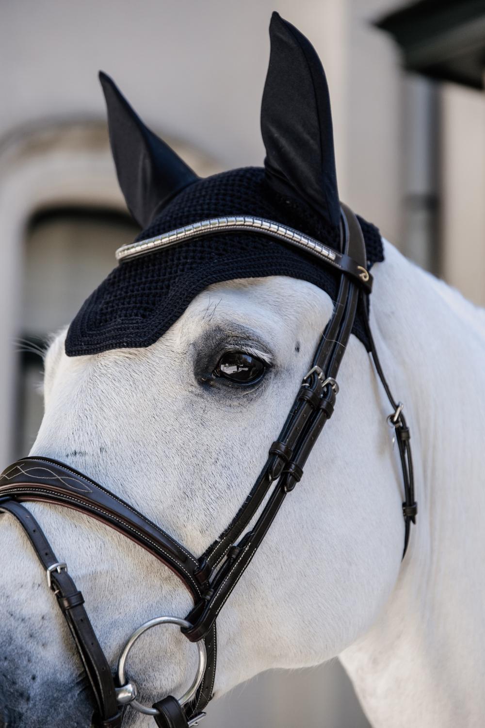 Fliegenhaube Wellington