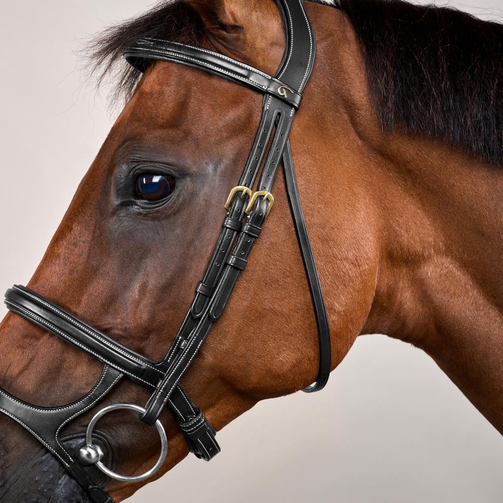 Trense mit Doppelreithalfter DY | Dy'on