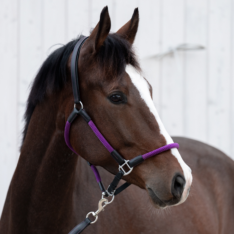 Cavo" rope halter with rope