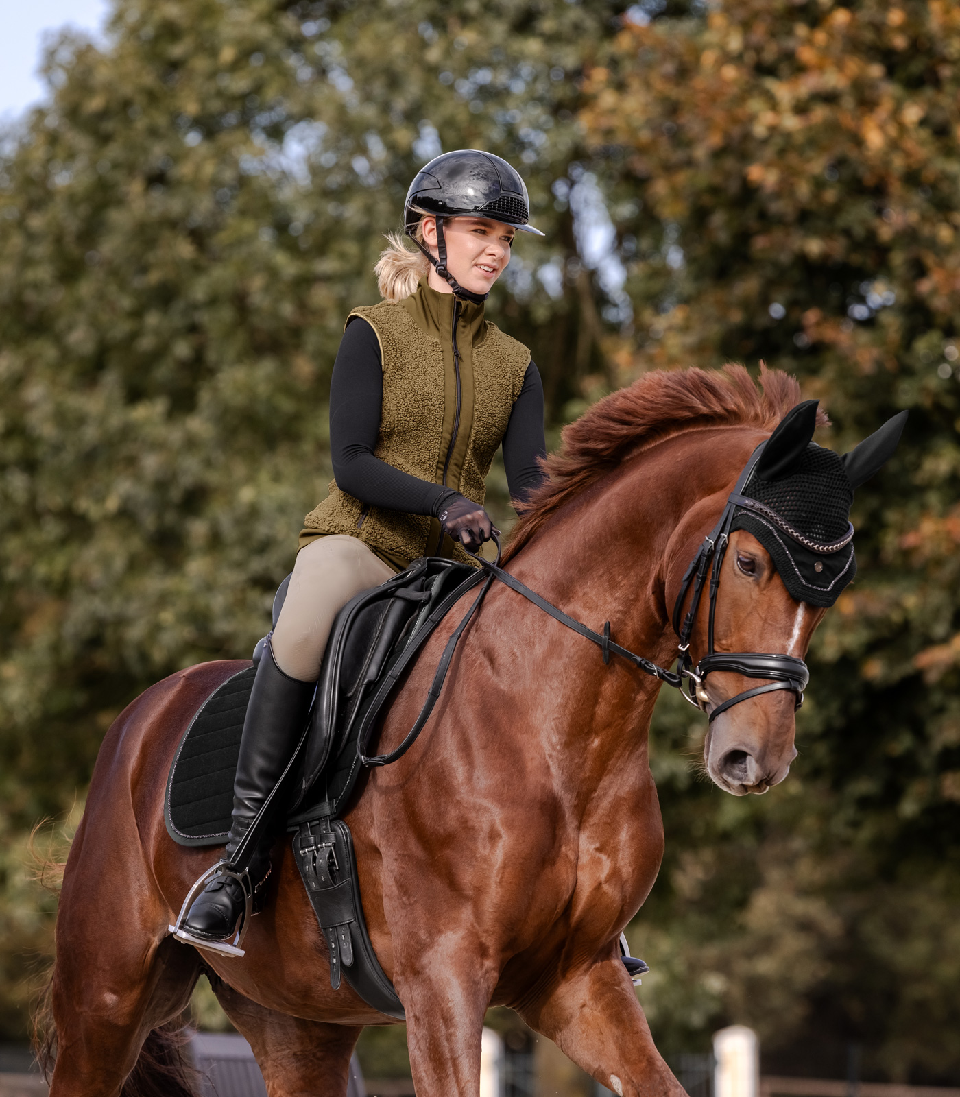 Fliegenohren St. Gallen