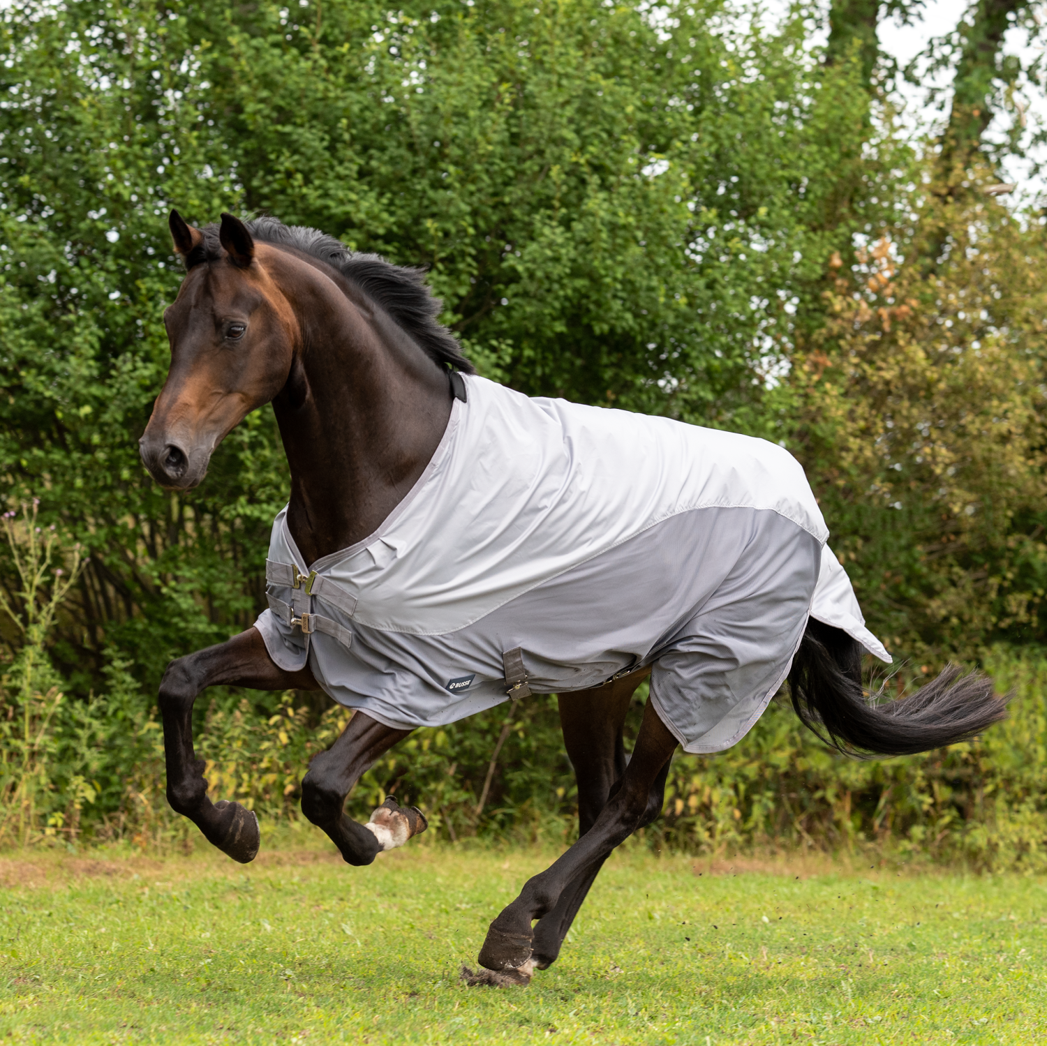 RainFly outdoor blanket
