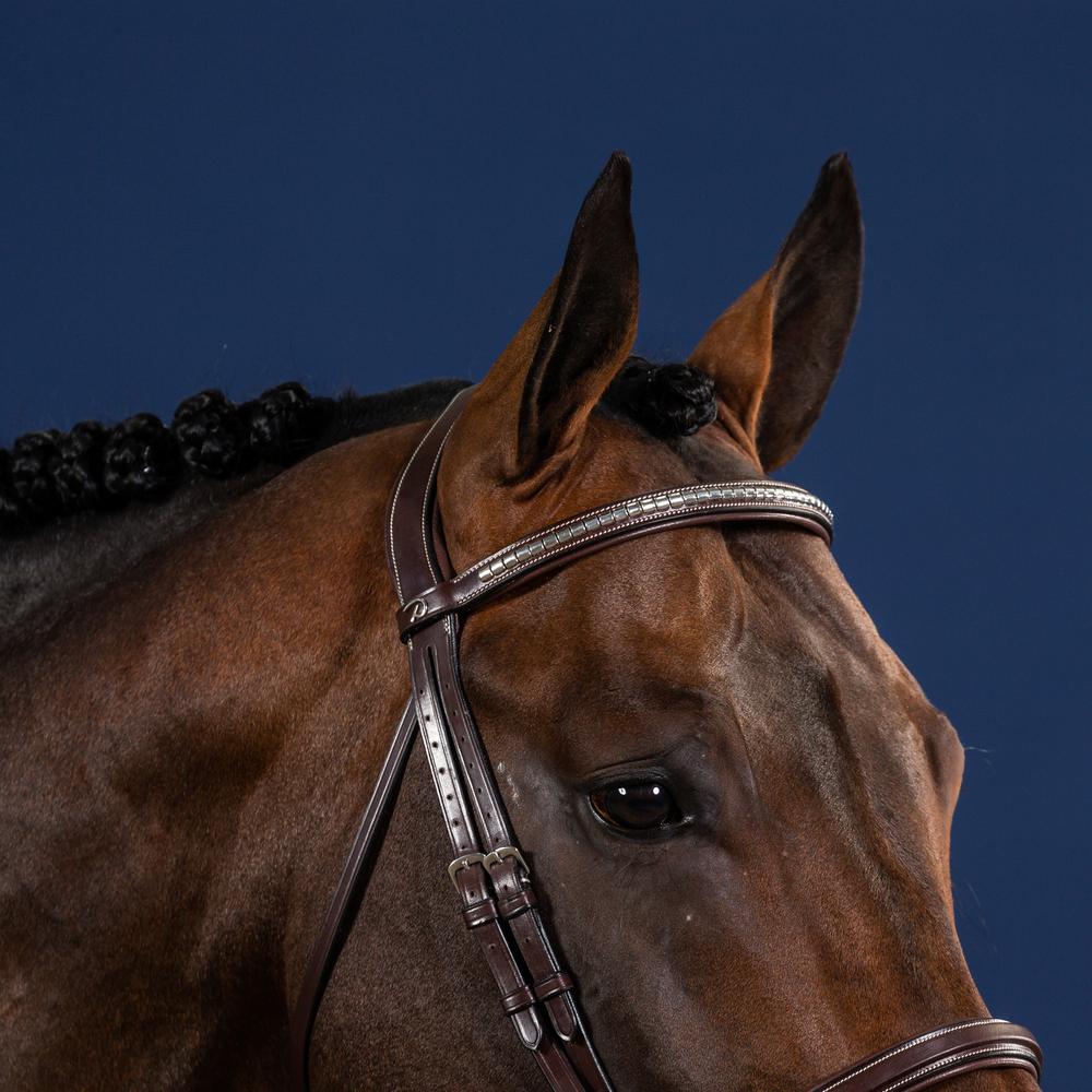 Straight browband with brass fittings