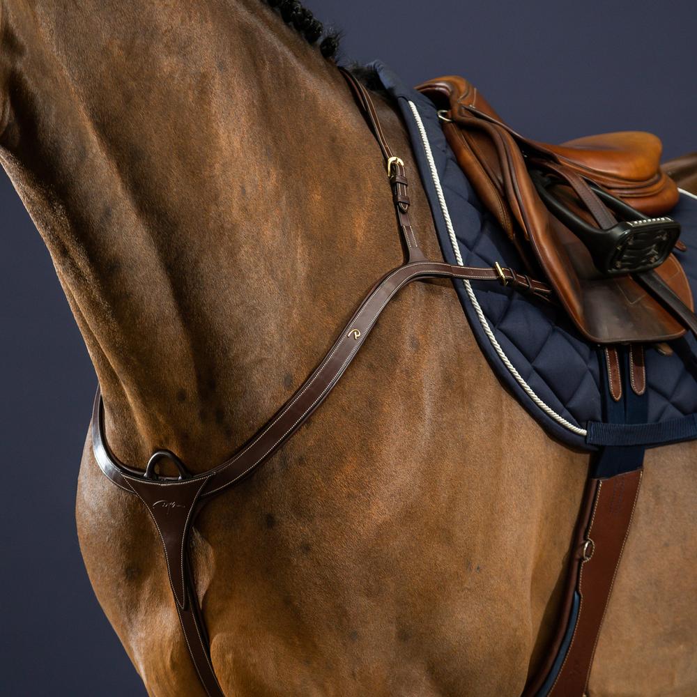 Vorderzeug mit langer Brücke | Dy'on