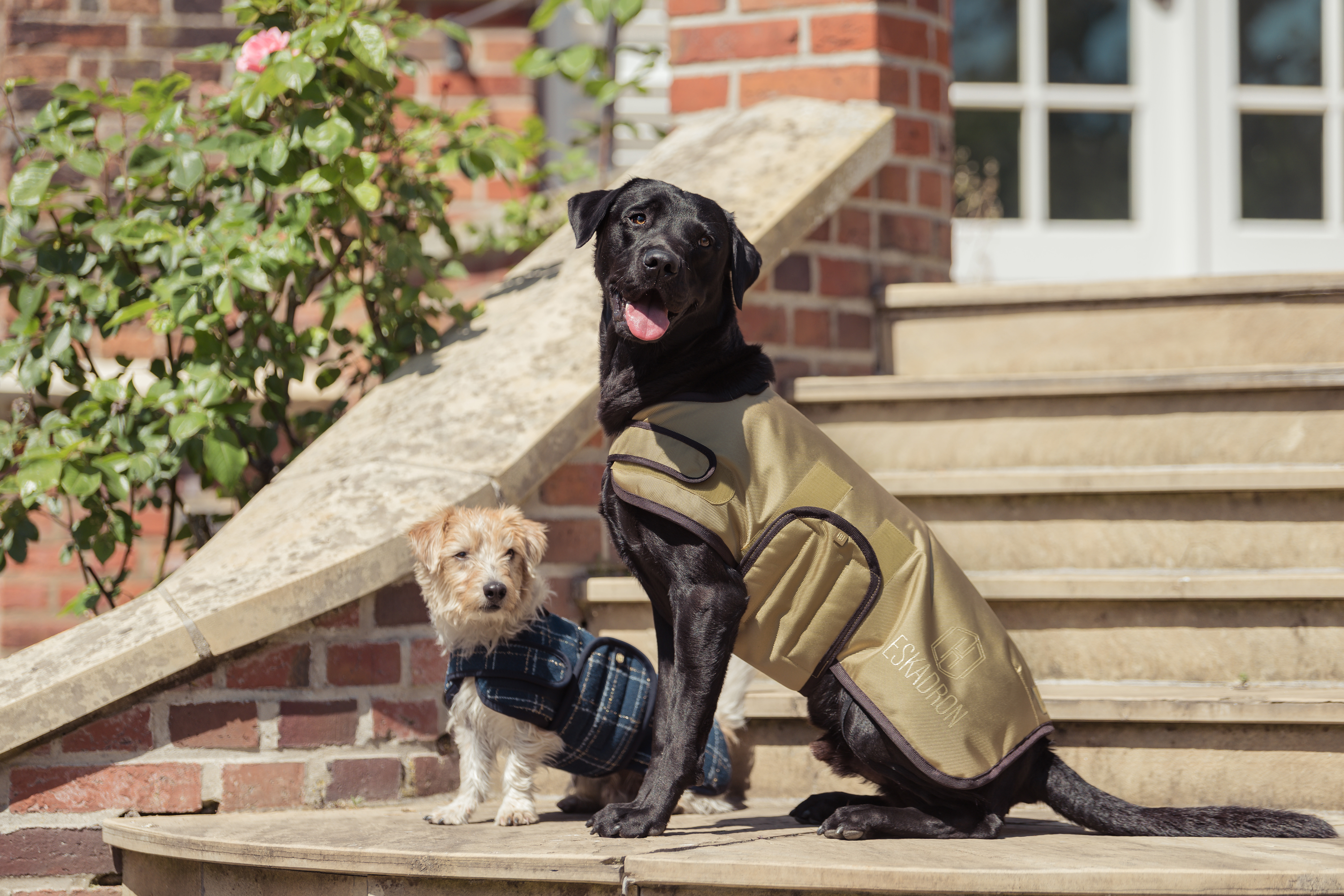 Hundemantel Heritage Bouclé in navy