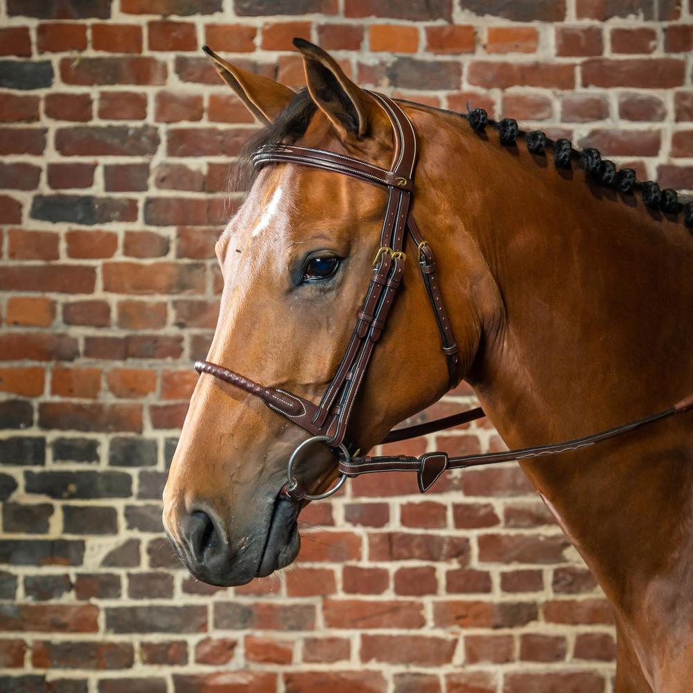 Trense mit Strickreithalfter (in Leder eingefasst) DY | Dy'on