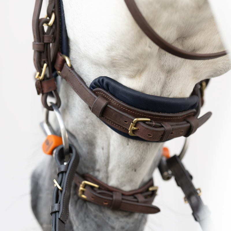 Bridle oiled leather "Caliano Via" close-comb.