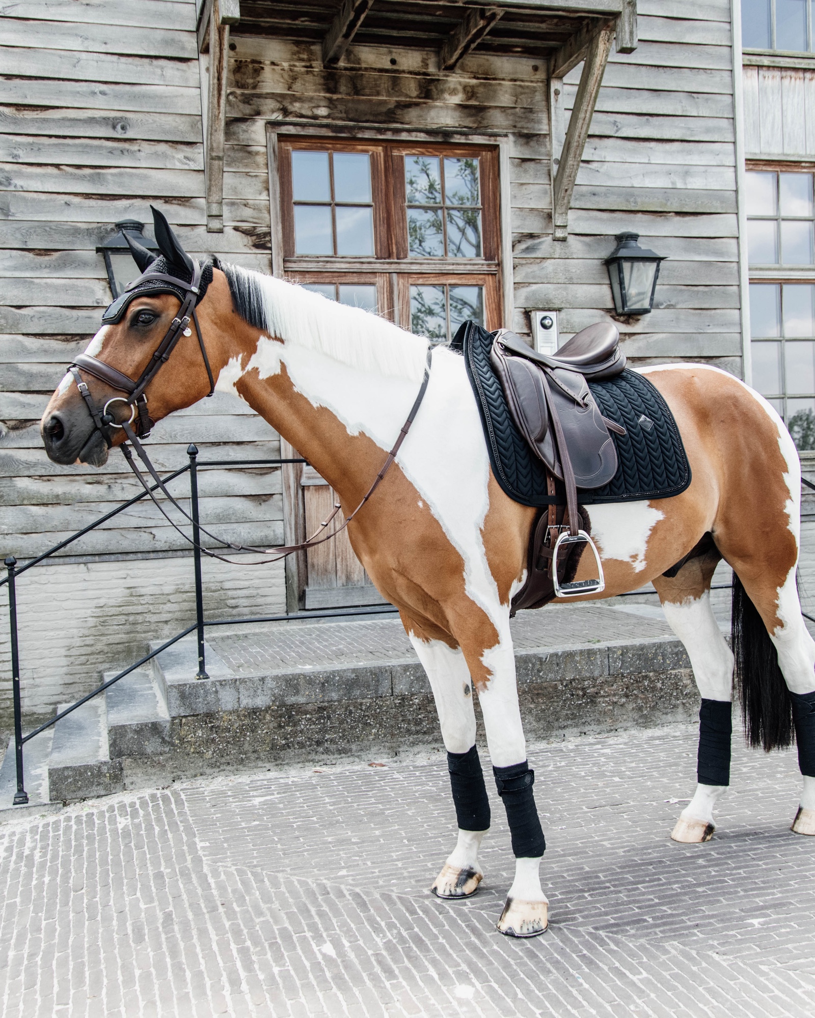 Dressage saddle pad Velvet Pearls