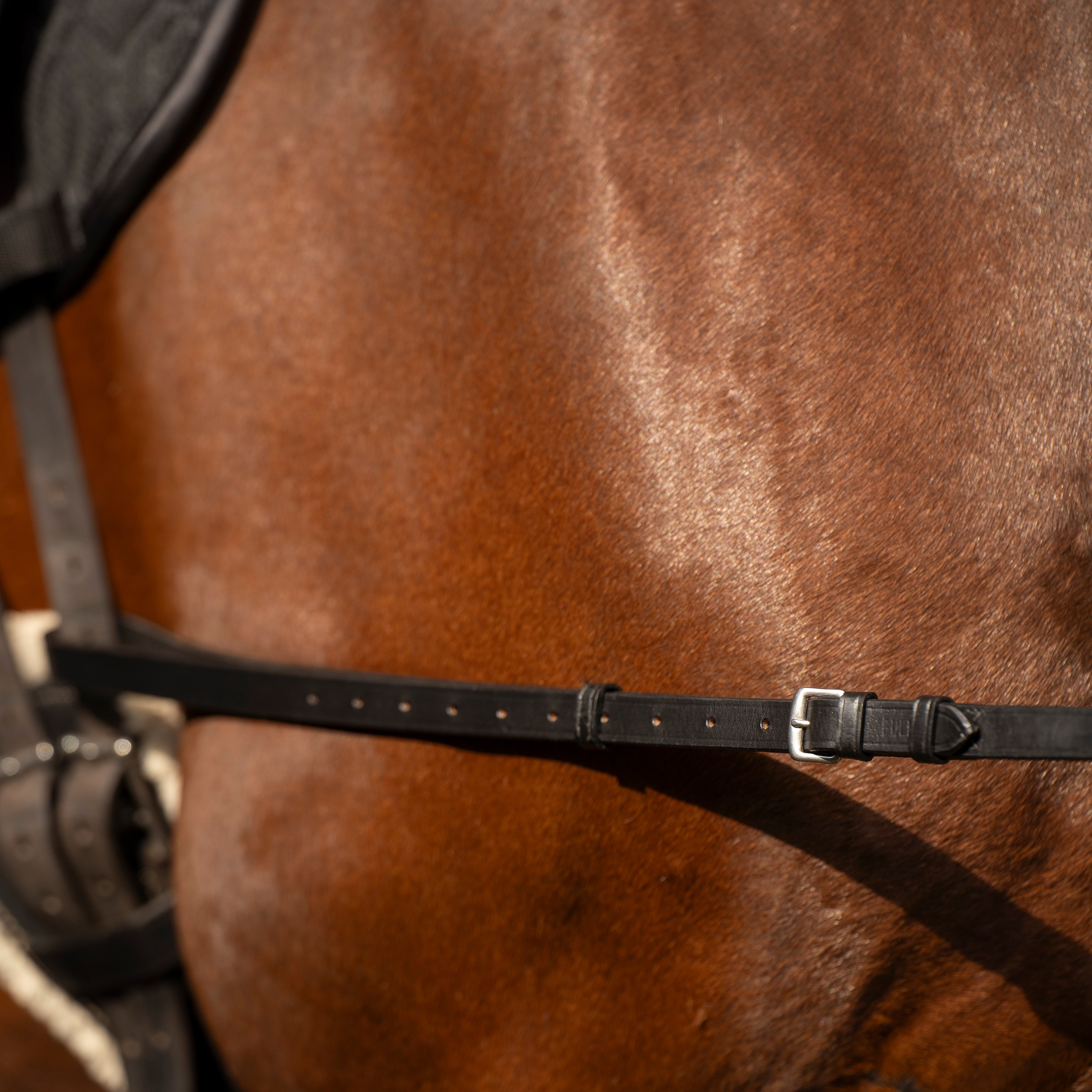 Ausbinder Leder mit Elastik