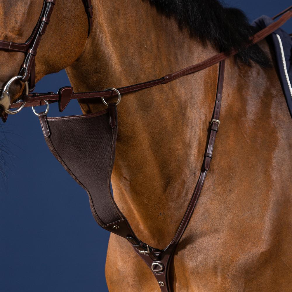 Elastische geschlossene Martingalgabel