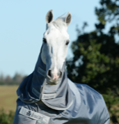 Halsteil Smartex Turnout Neck in Iron Gate