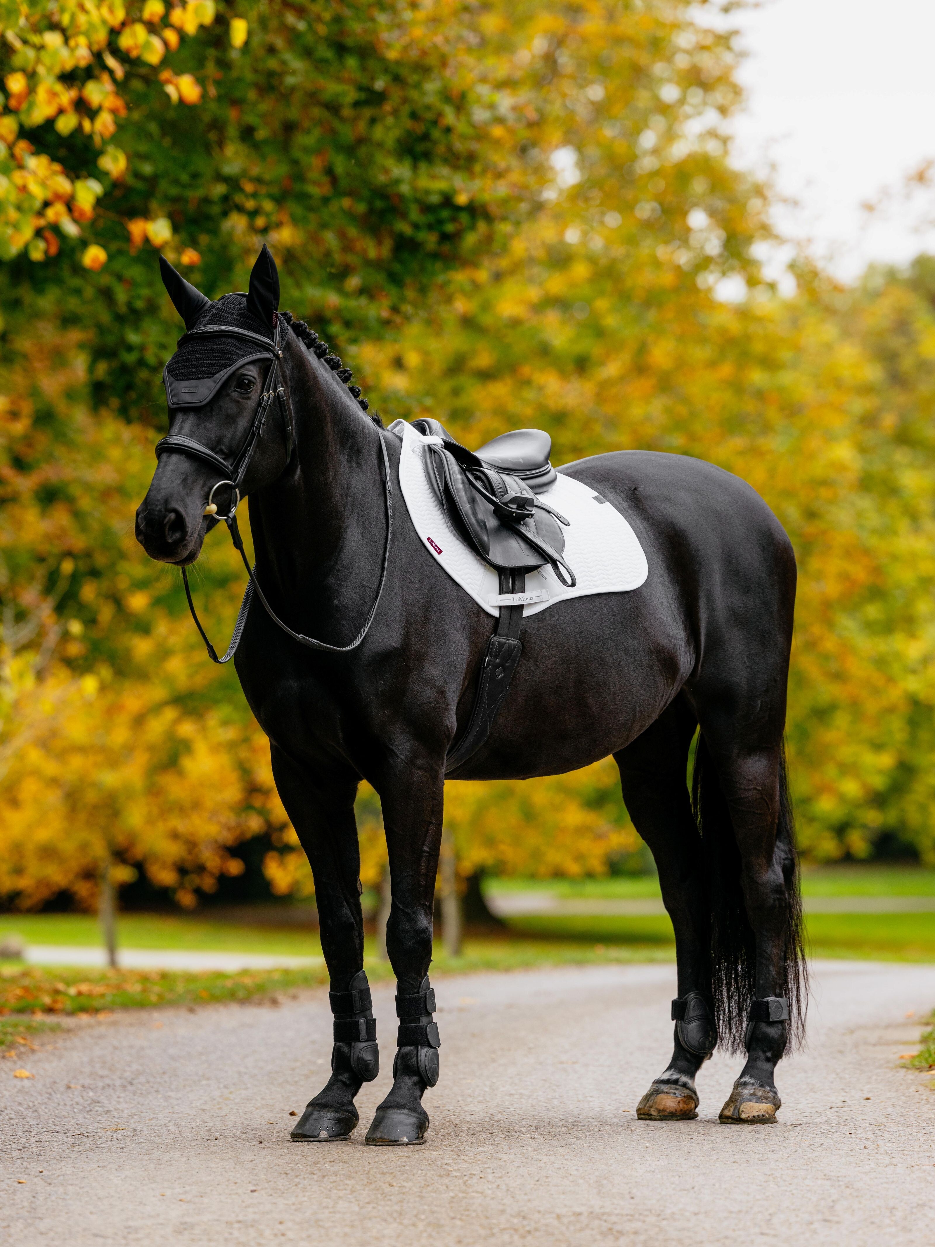 Essence Eurojump zadeldek