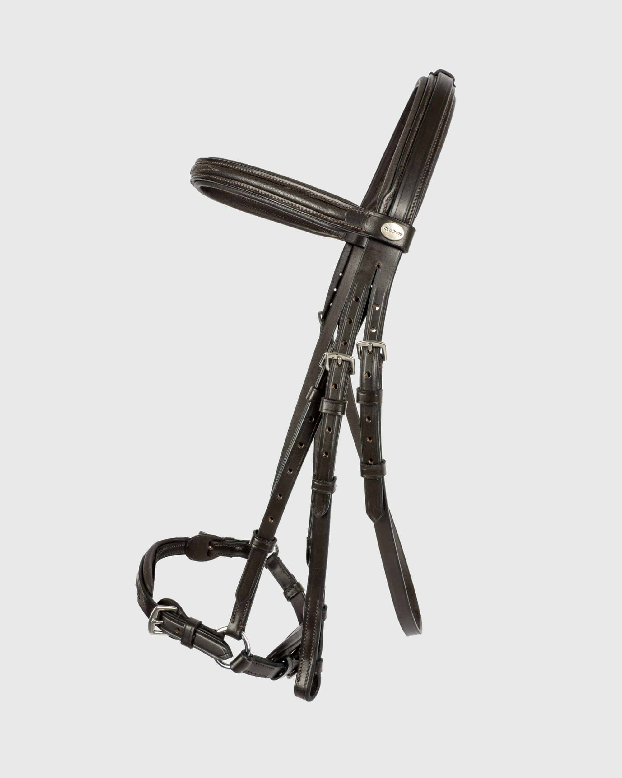 Bridle "Levana" hann.
