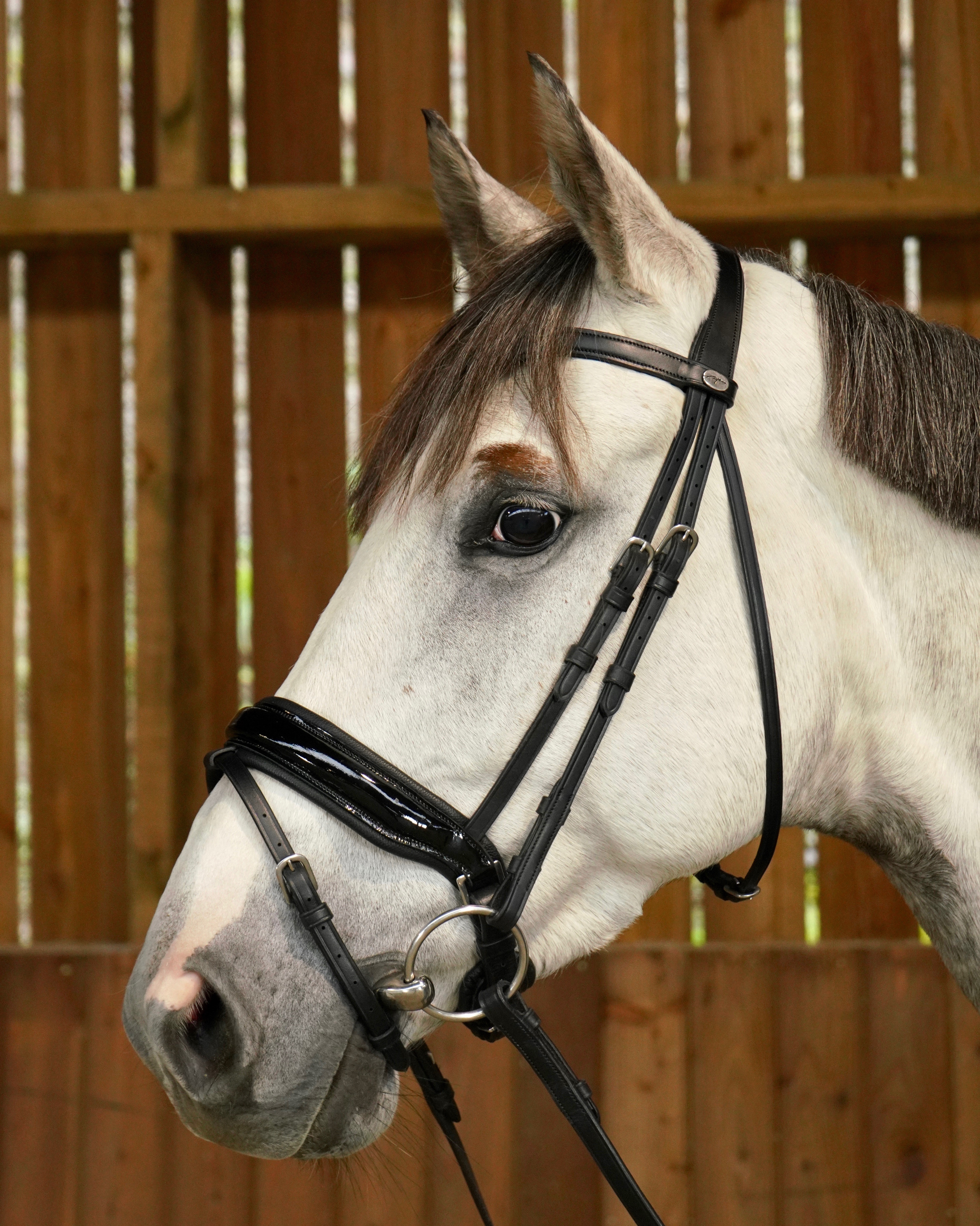 Snaffle bridle wide swedish-combined lacquer