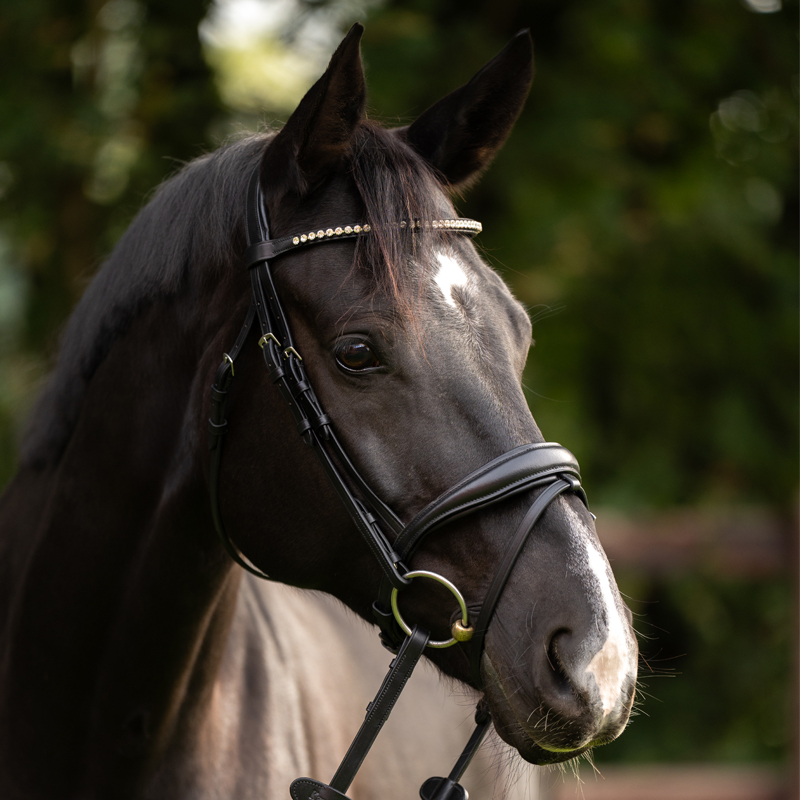 Stirnband "Simplicity"