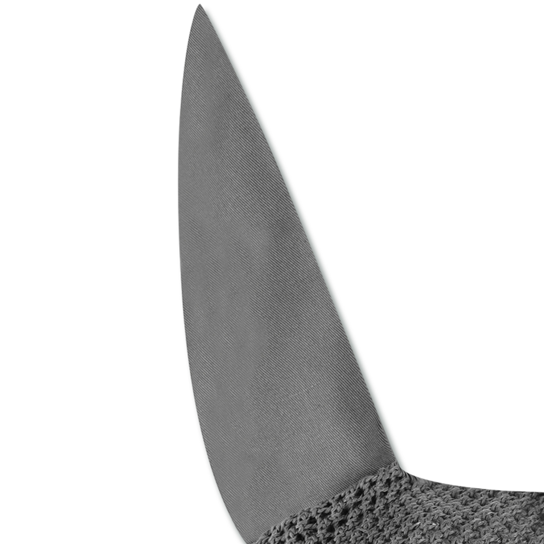 Fliegenohren Competition