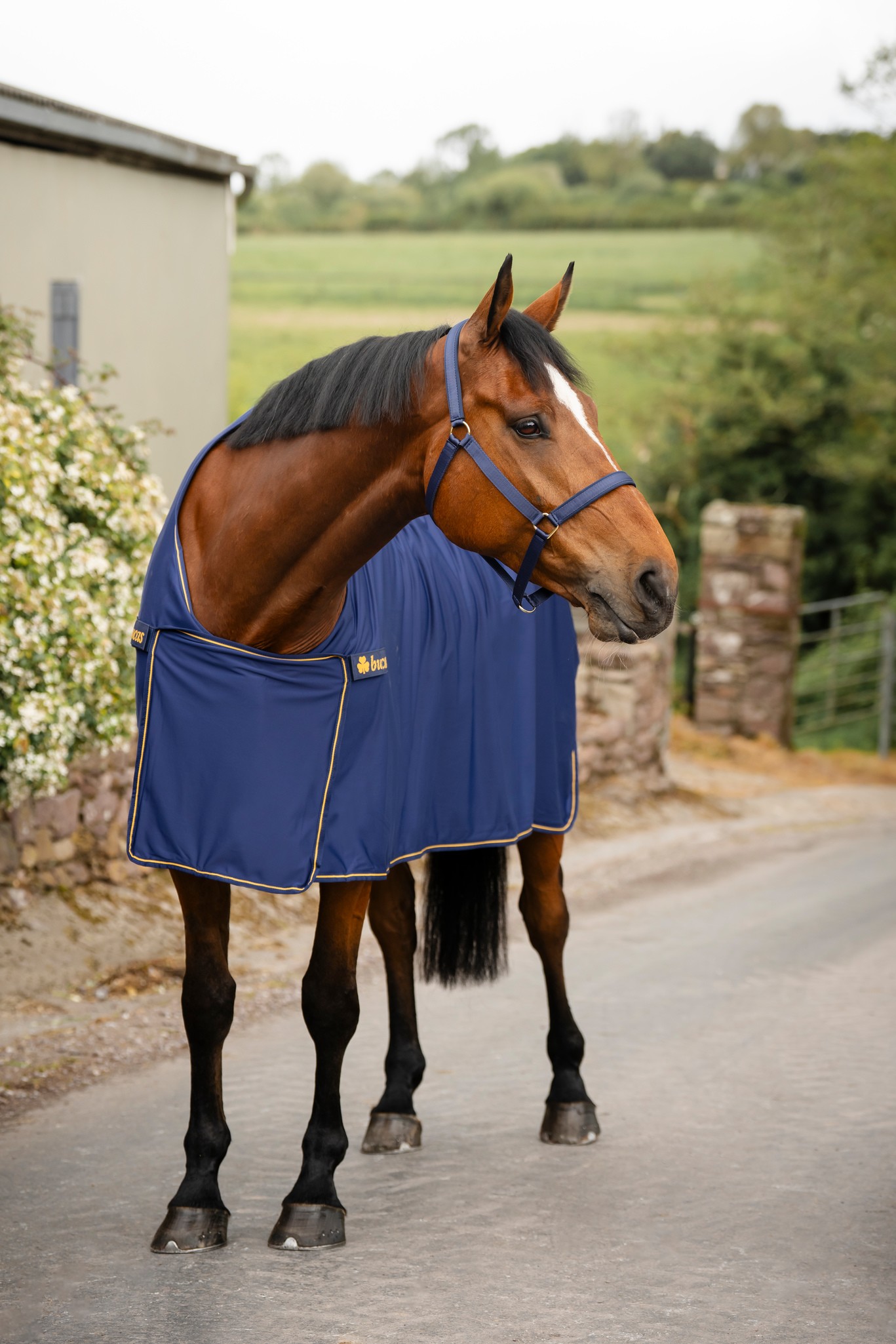 Abschwitzdecke Panel Prize Cooler in Navy/Gold