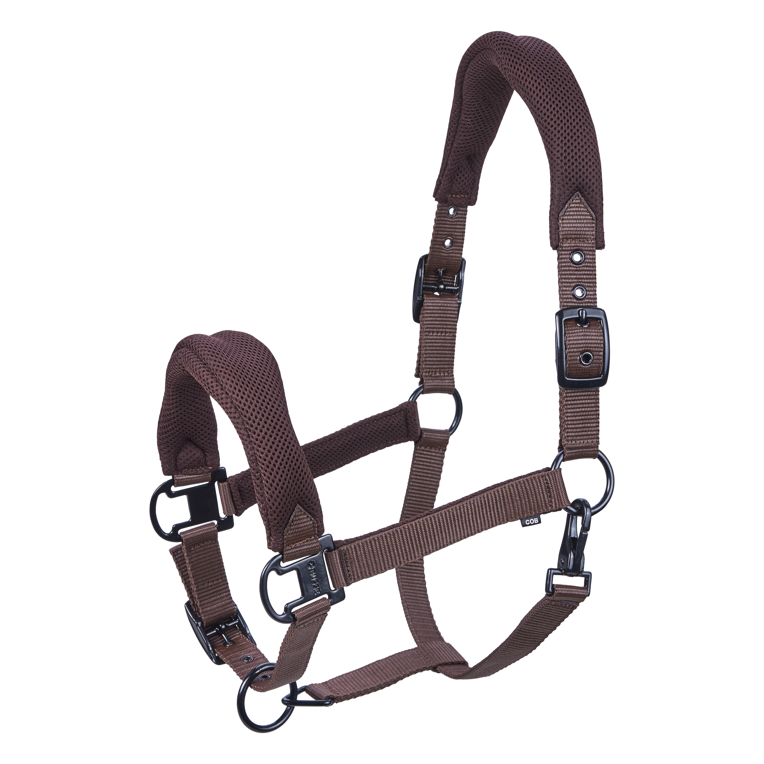 Headcollar AESTHETIC AR