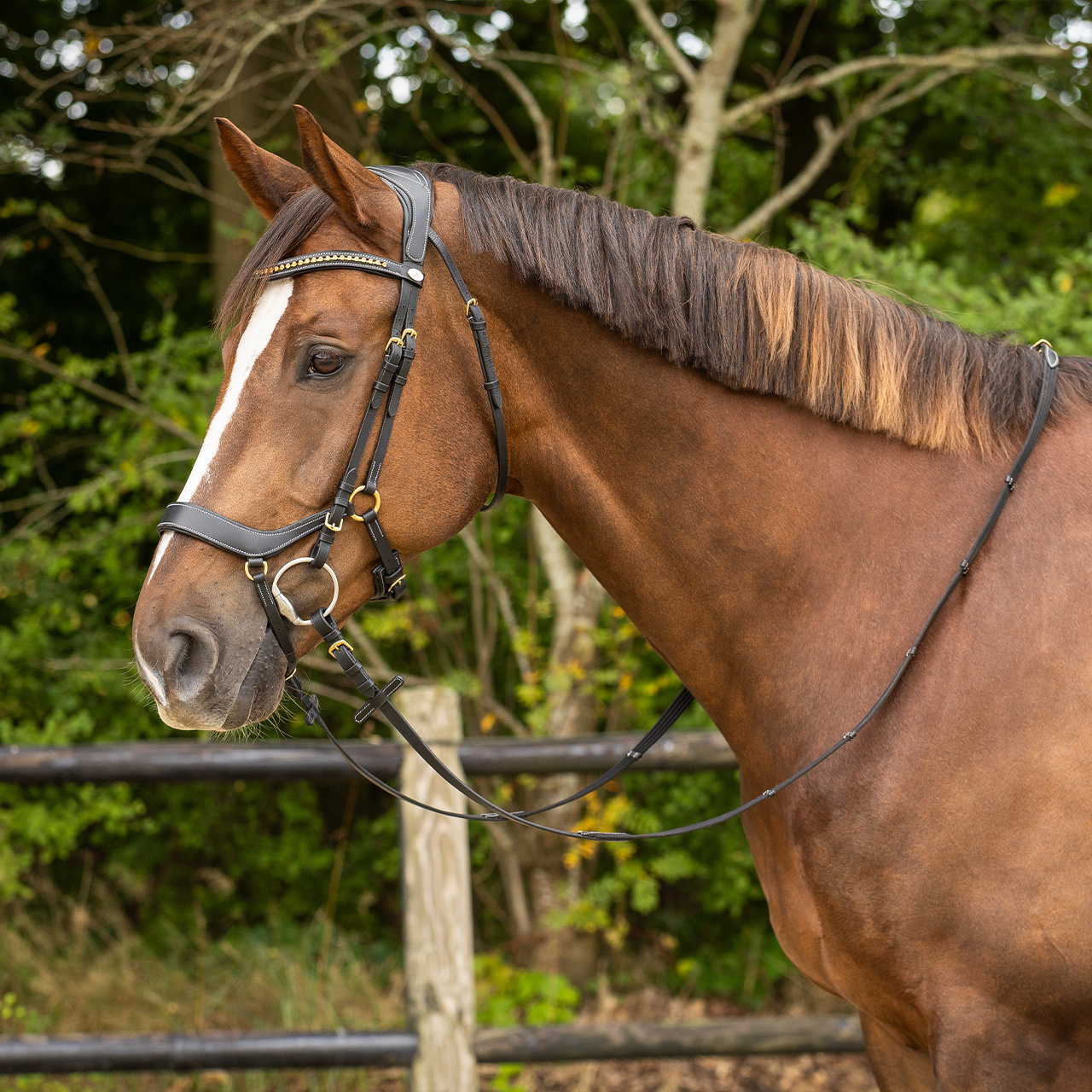 Snaffle Devi