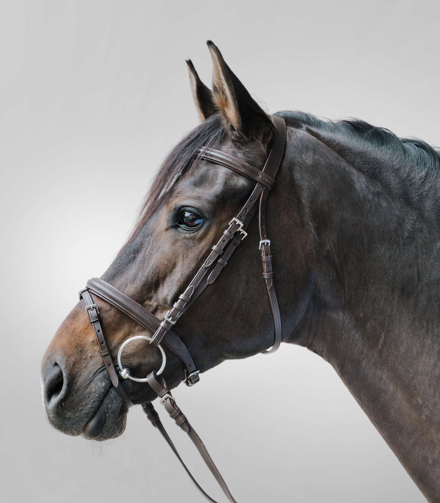 Lifestyle snaffle bridle