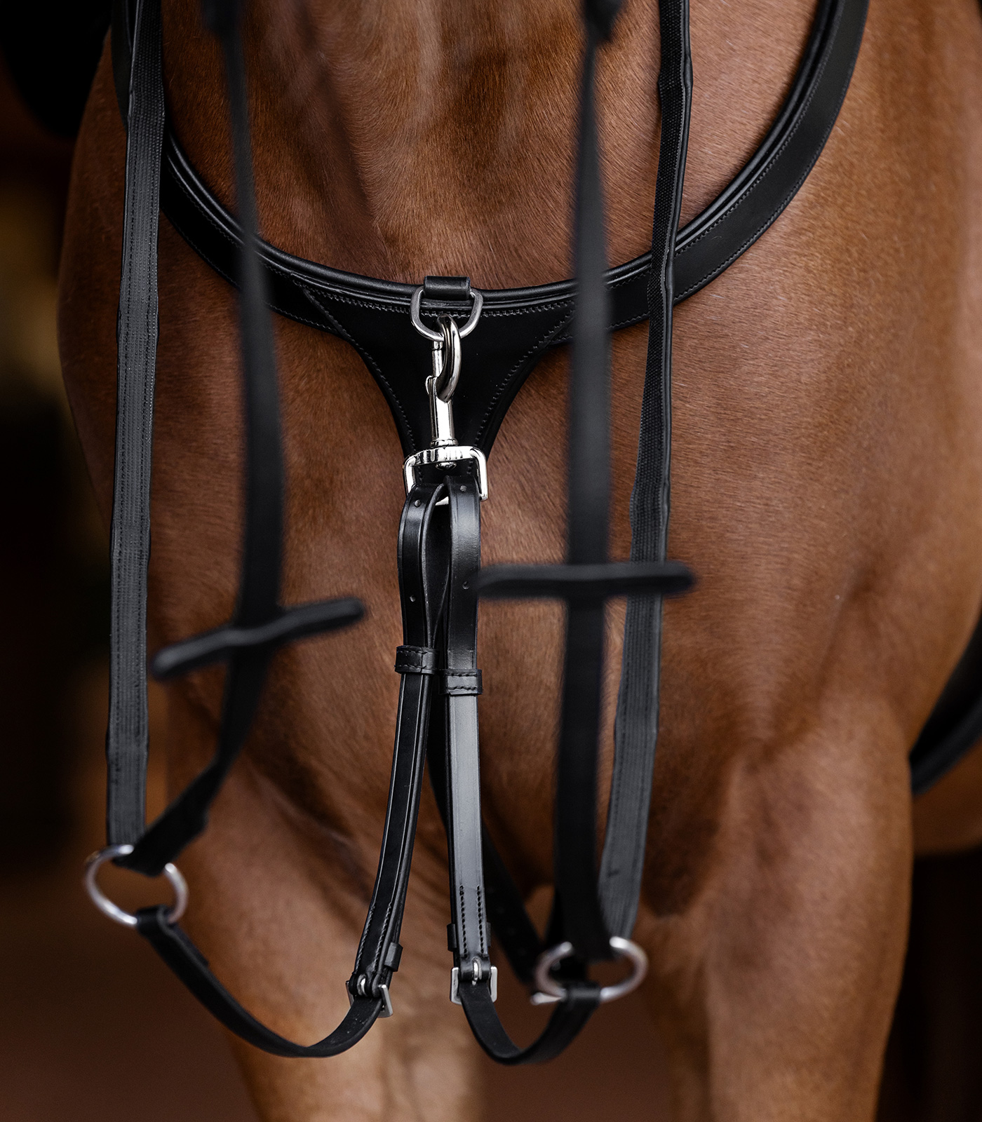 Waldhausen X-Line breastplate with long bridge