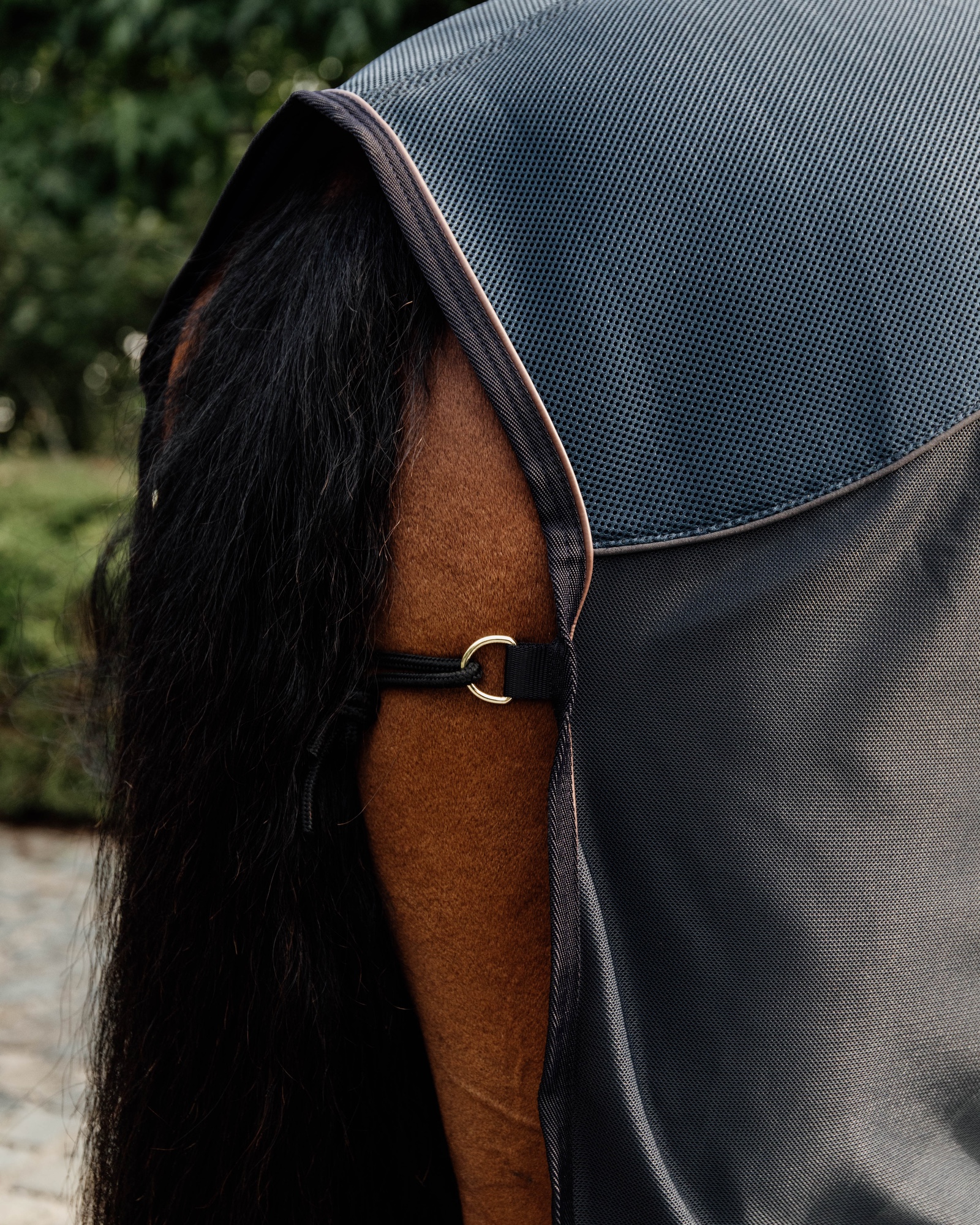 Fly rug fly combi