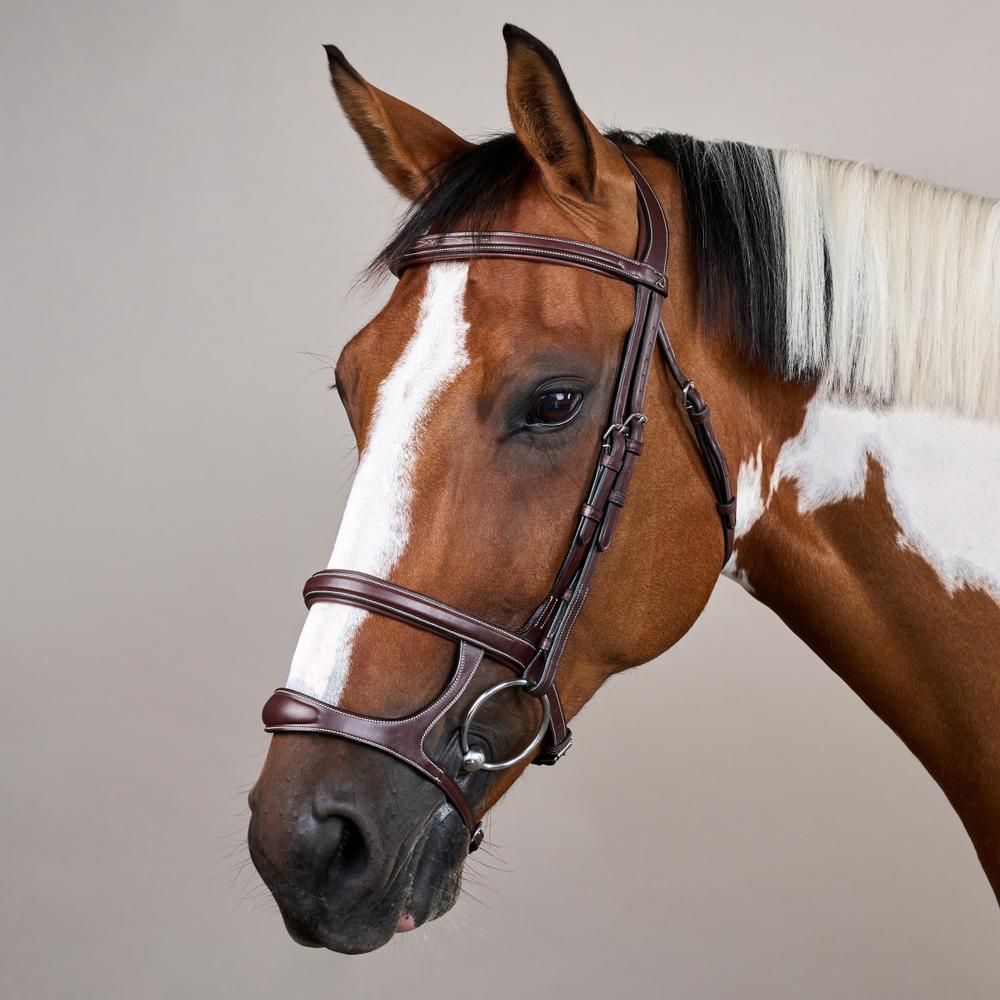 Trense mit Doppelreithalfter US