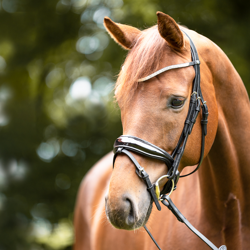 Stirnband "Princess" Stirnband "Princess"