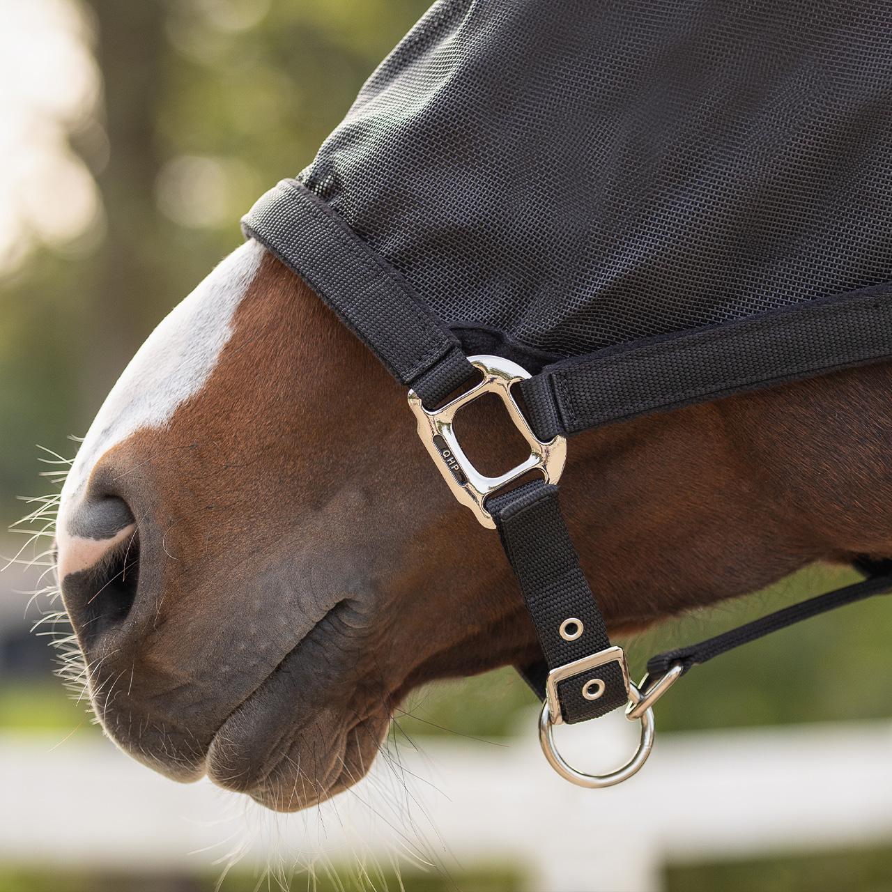 Halter fly mask combi