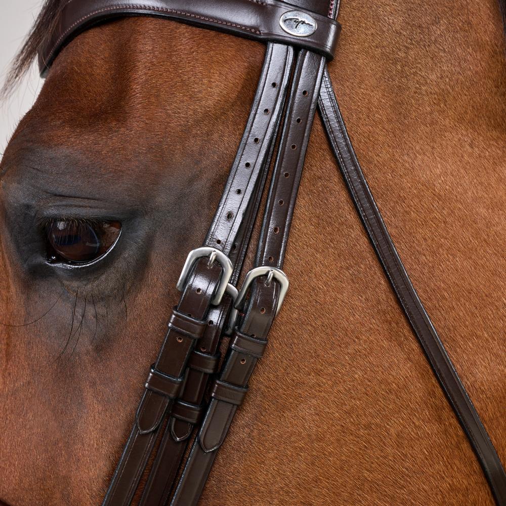 Kandare mit breitem schwedischem Reithalfter