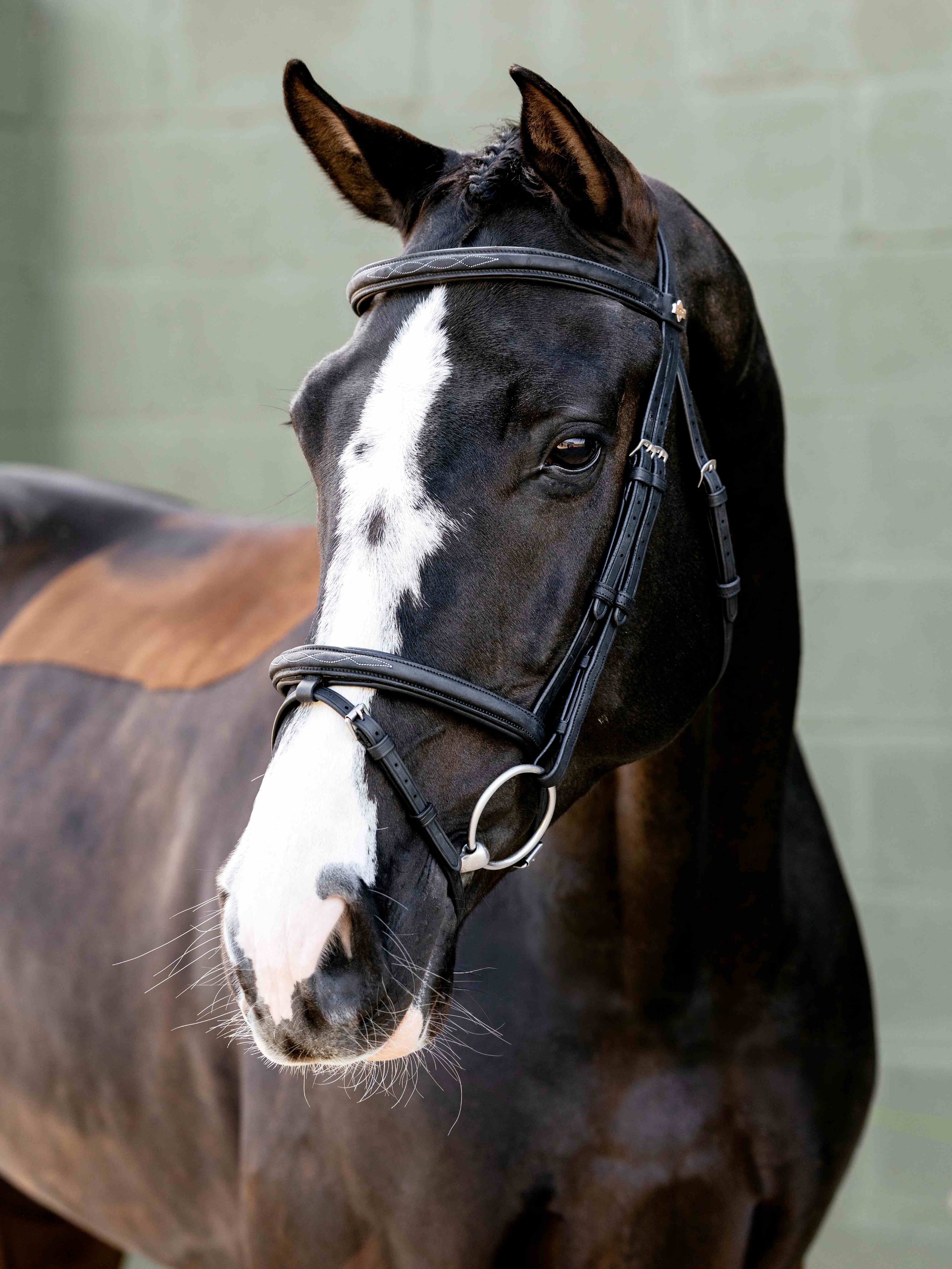 Arika Classique Flash Trense