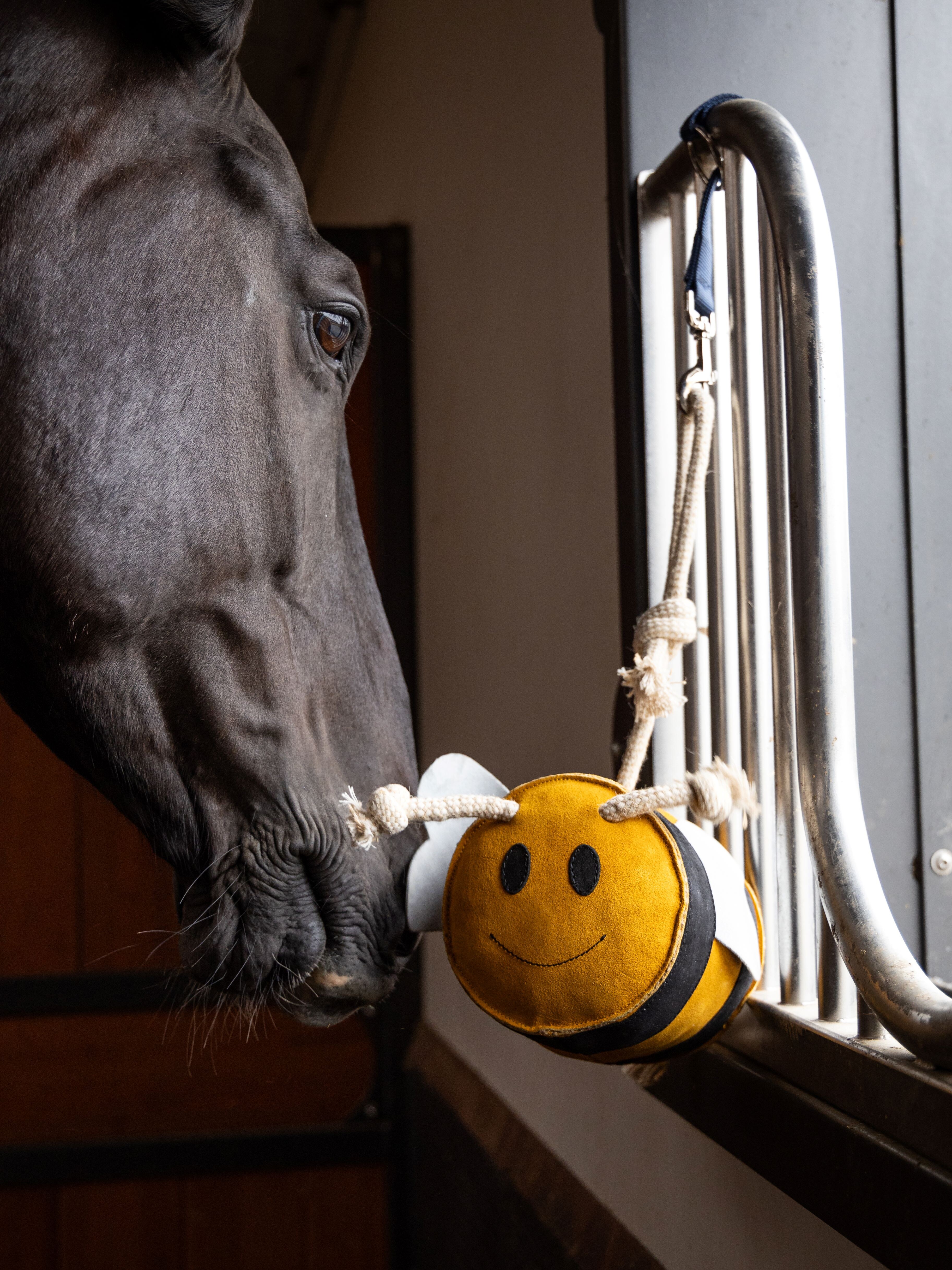 Spielzeug-Biene voor paarden