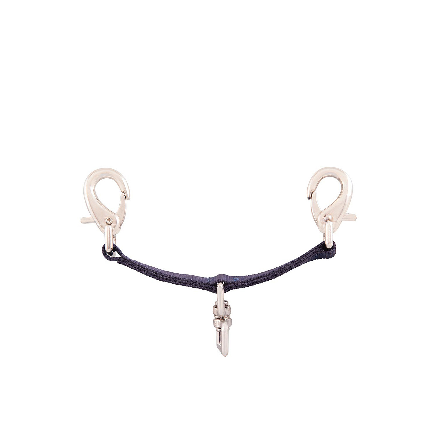 Longierbrille