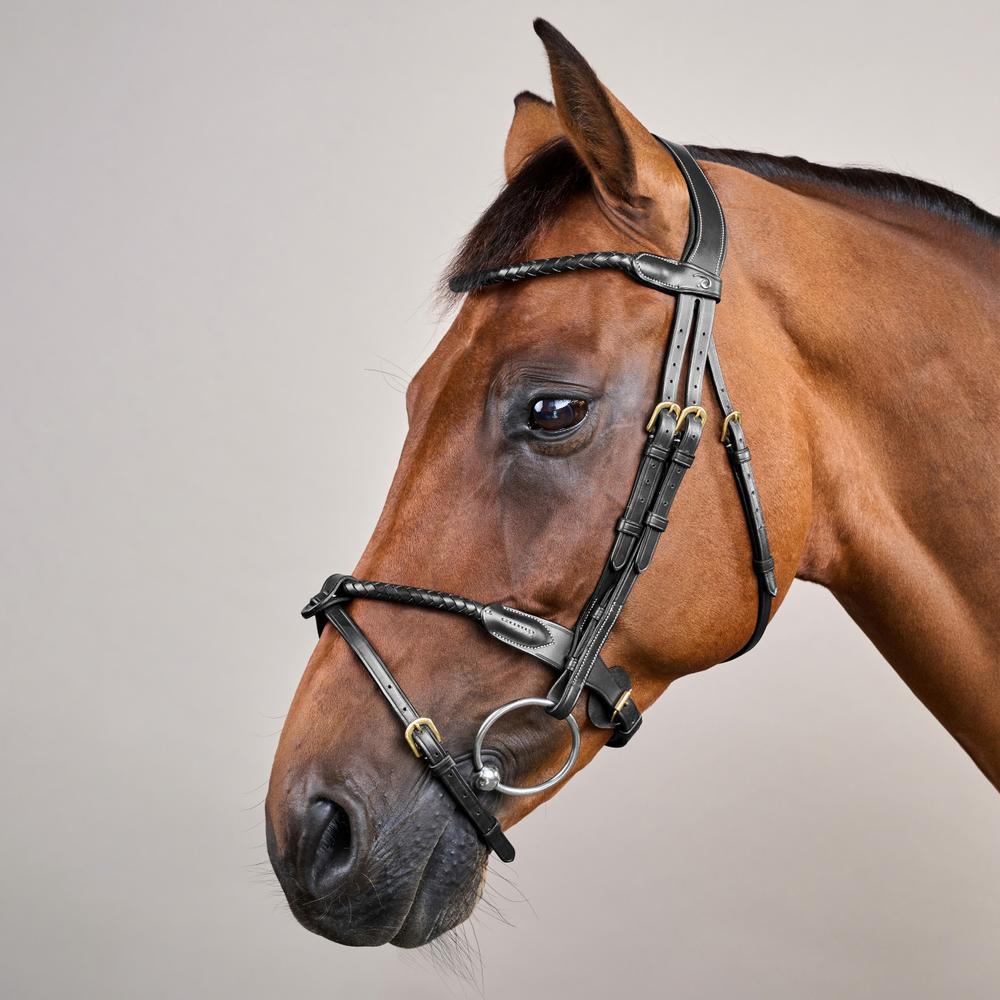 Rund geflochtene Trense mit kombiniertem Reithalfter DY | Dy'on