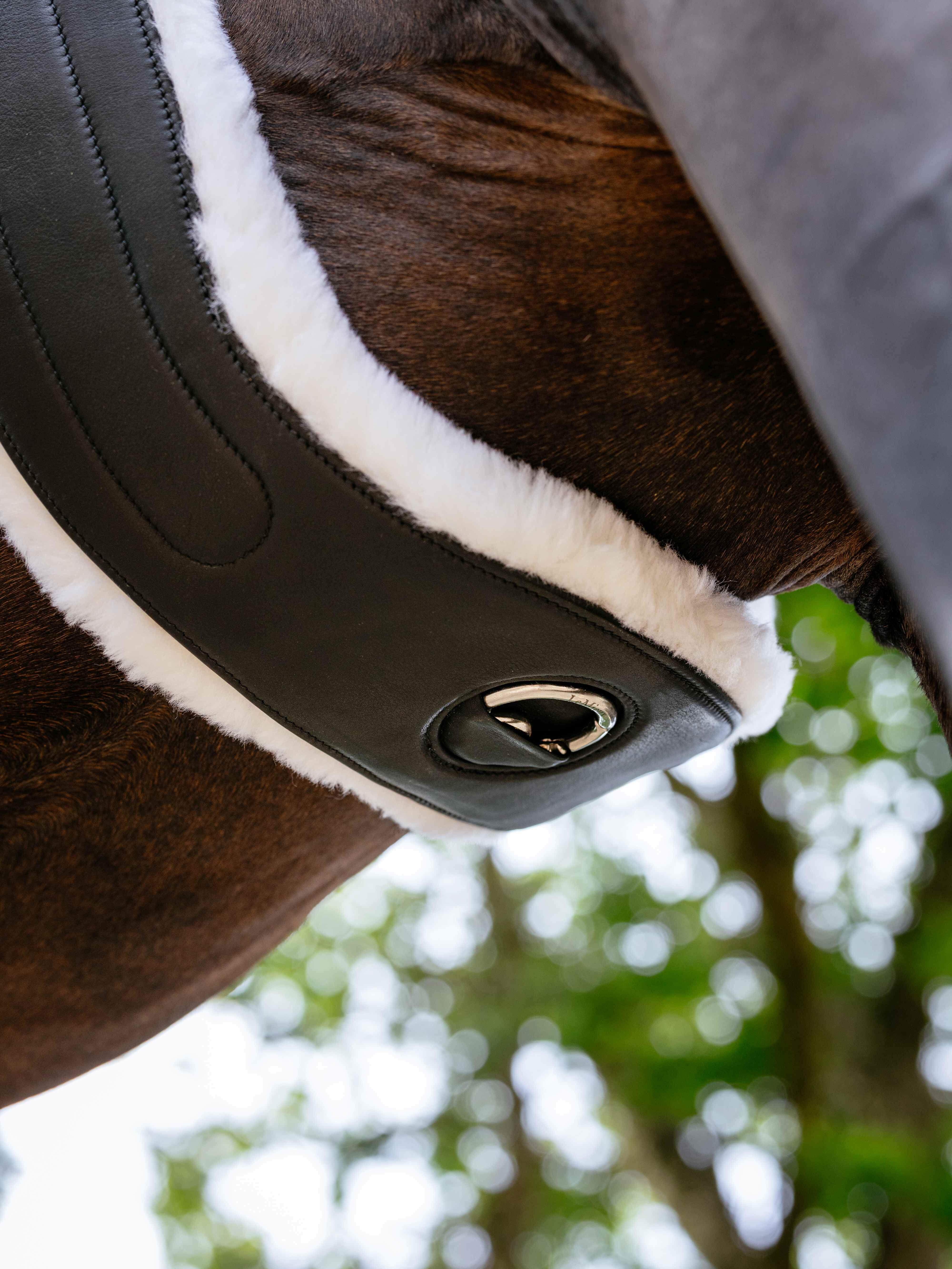 Hunter Langgurt mit abnehmbarem Merino+ Unterfutter