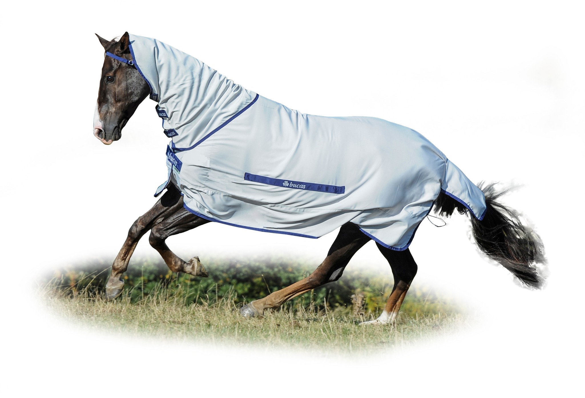 Fliegendecke Sweet Itch Rug in Silver