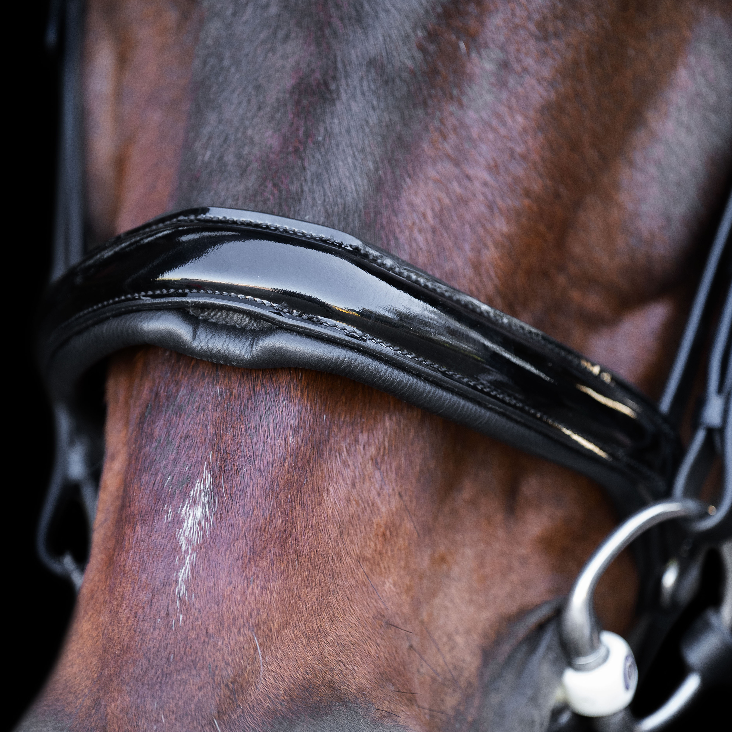 Snaffle bridle with English noseband
