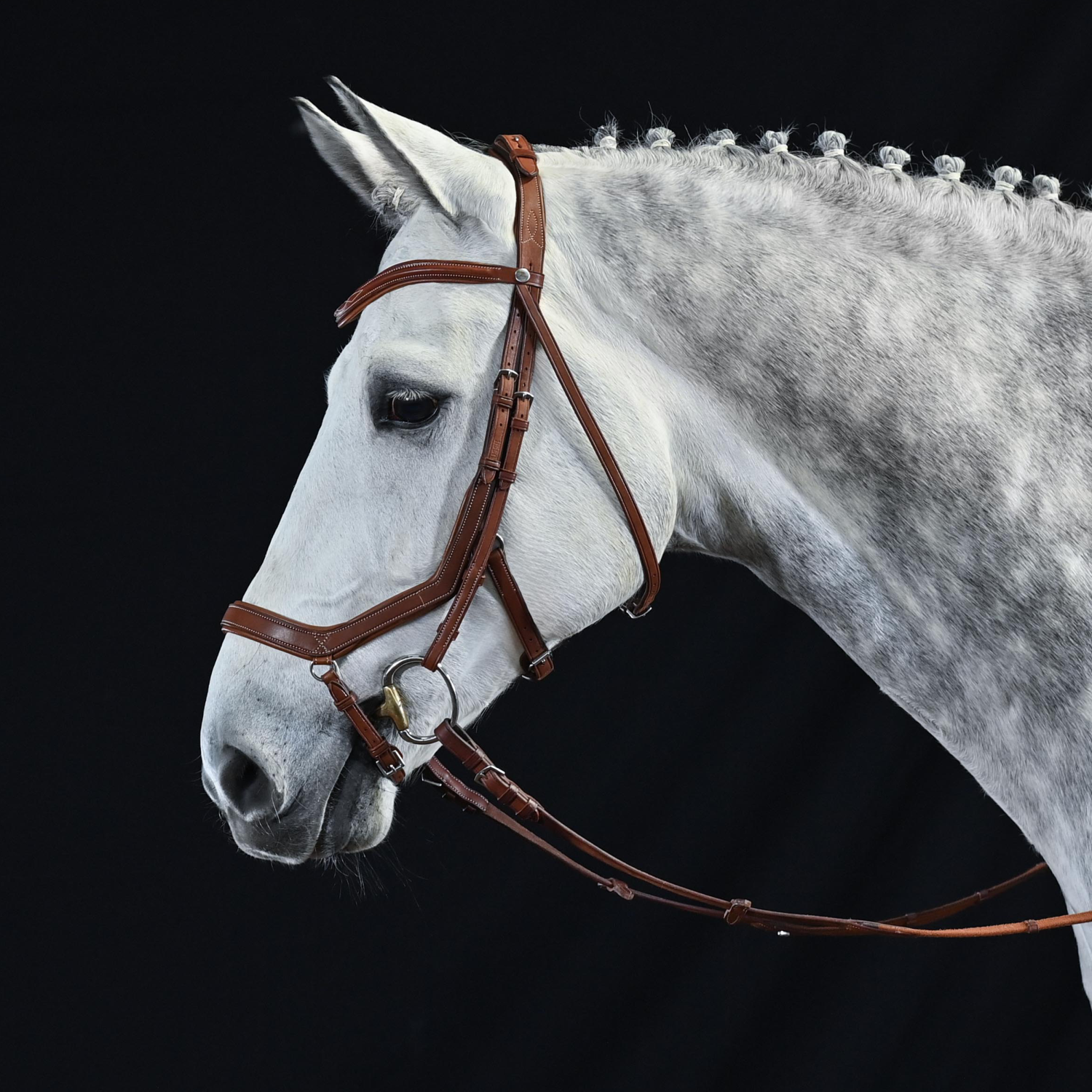 Reithalfter Take-Off Line AN